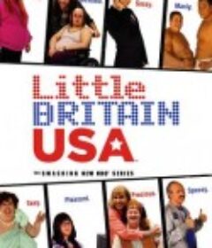小不列颠大美利坚 Little Britain USA            (2008)