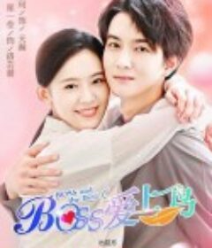 霸道总裁爱上鸟            (2022)