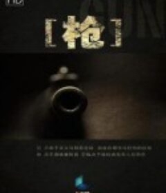 枪            (2013)
