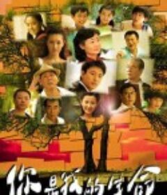 你是我的生命            (2010)