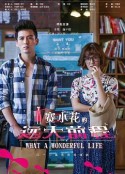 赛小花的远大前程            (2017)