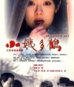 小姨多鹤            (2009)