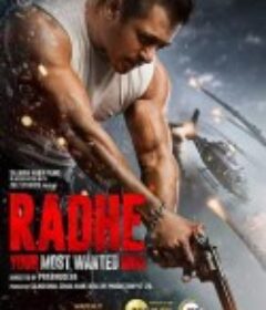 宝莱坞犯罪都市 Radhe            (2020)