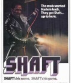 黑街神探 Shaft            (1971)