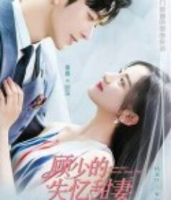 顾少的失忆甜妻            (2022)