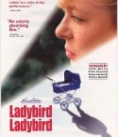 折翼母亲 Ladybird Ladybird            (1994)