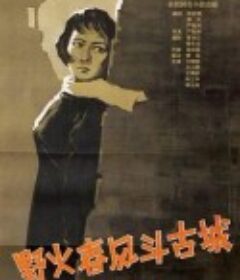 野火春风斗古城            (1963)