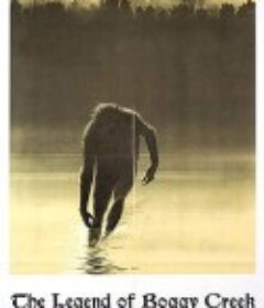 沼泽地传奇 The Legend of Boggy Creek            (1972)