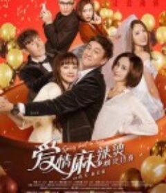 爱情麻辣烫之情定终身            (2016)