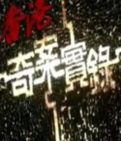 香港奇案实录            (2006)