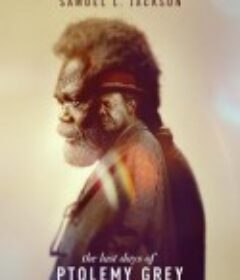 托勒密·格雷最后的日子 The Last Days of Ptolemy Grey            (2022)