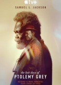 托勒密·格雷最后的日子 The Last Days of Ptolemy Grey            (2022)