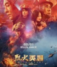 烈火英雄            (2019)