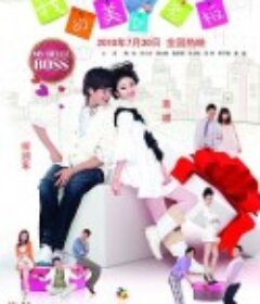 我的美女老板            (2010)