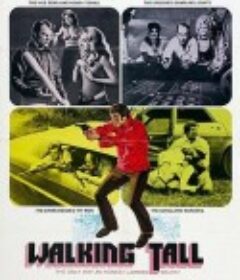 势不两立 Walking Tall            (1973)