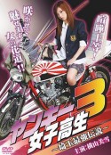 不良女高中生3：埼玉最強传说 ヤンキー女子高生3~埼玉最強伝説~            (2010)