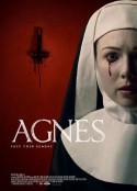 阿格尼斯 Agnes            (2021)