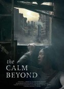 平静之外 The Calm Beyond            (2020)