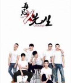 再见x先生            (2016)