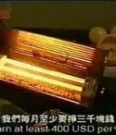 我不要你管            (2001)