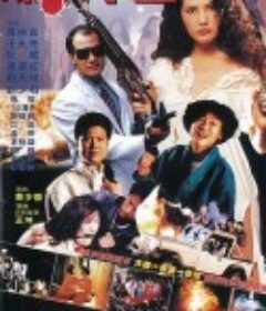 风尘十三姨 風塵十三姨            (1987)