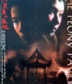 我的美丽与哀愁 我的美麗與哀愁            (1995)