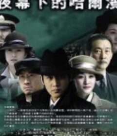 夜幕下的哈尔滨            (2007)