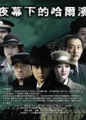 夜幕下的哈尔滨            (2007)
