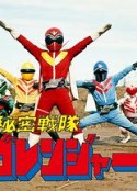 秘密战队五连者 秘密戦隊ゴレンジャー            (1975)