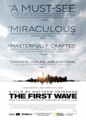 第一波 The First Wave            (2021)