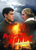 灰色华尔兹 Рябиновый вальс            (2009)