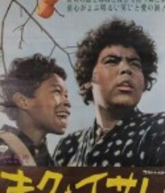 阿菊与阿勇 キクとイサム            (1959)