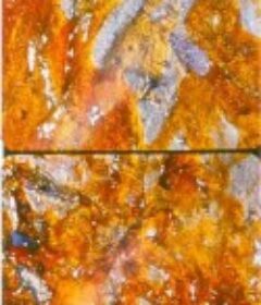 登楼叹 Ascension            (2002)