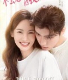 不会恋爱的我们            (2022)