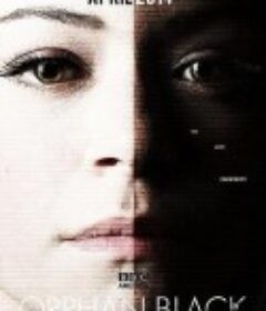 黑色孤儿 第二季 Orphan Black Season 2            (2014)