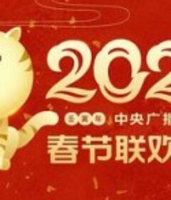 2022年中央广播电视总台春节联欢晚会            (2022)
