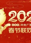 2022年中央广播电视总台春节联欢晚会            (2022)