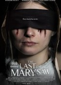 最后一眼 The Last Thing Mary Saw            (2021)