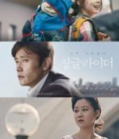 单身骑士 싱글라이더            (2017)