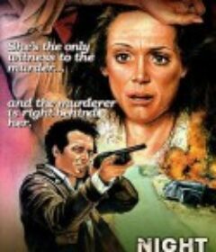 黑夜惊心 Night Terror            (1977)