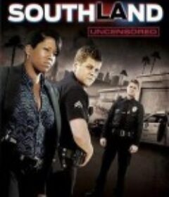 南城警事  第二季 Southland Season 2            (2010)