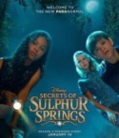 硫磺泉镇的秘密 Secrets of Sulphur Springs            (2021)