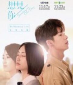 想见你 想見你            (2019)