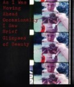 当我往前走之时偶尔会瞥到一缕美丽之景 As I Was Moving Ahead Occasionally I Saw Brief Glimpses of Beauty            (2000)