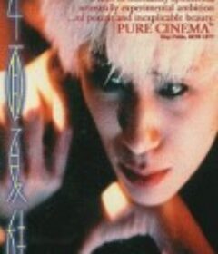 四面夏娃            (1996)