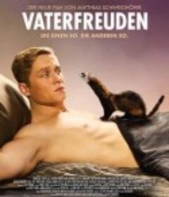 奶爸难当 Vaterfreuden            (2014)