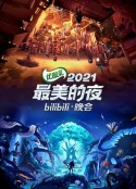 2021最美的夜bilibili晚会            (2021)