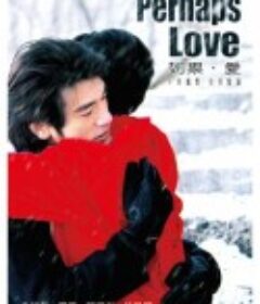 如果·爱            (2005)