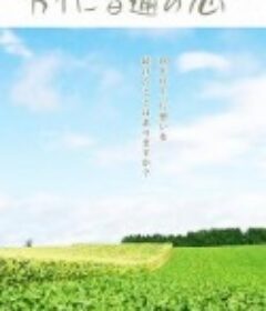 特别普通的恋爱 别に普通の恋            (2013)