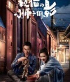 赖猫的狮子倒影            (2021)